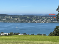 Am Zürichsee Kopie (1).png