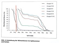 Winterbienen.jpg